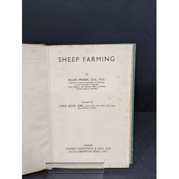 Sheep Farming