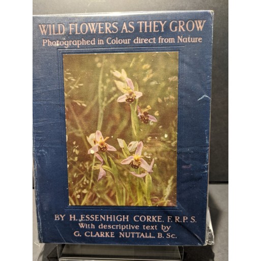 Wild Flowers as They Grow Book by Corke & Nuttall